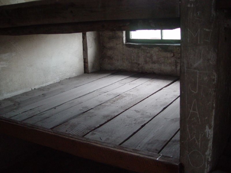 Birkenau bunk up close